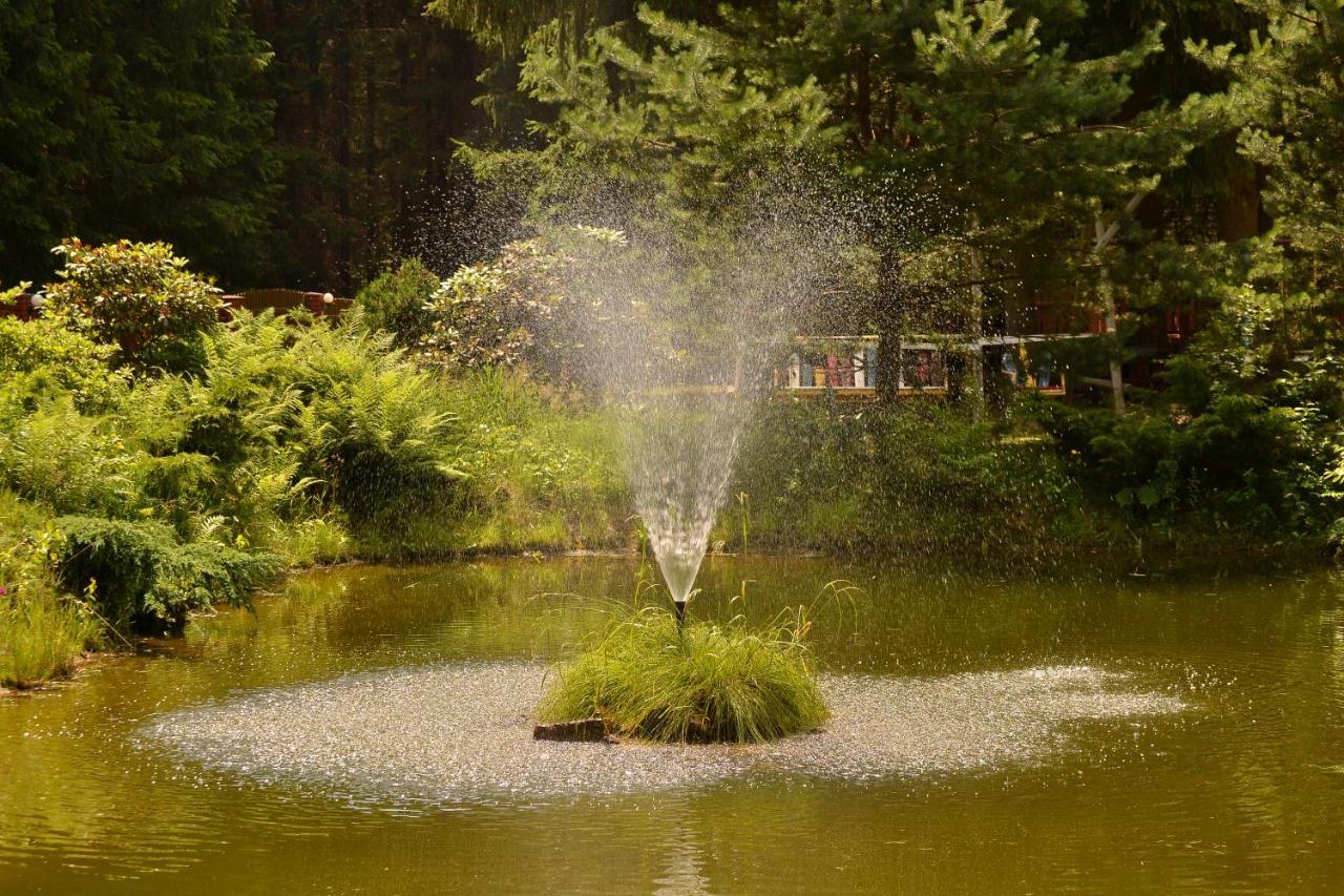 Zadrna Rezydencja Chelmsko Slaskie Exterior foto